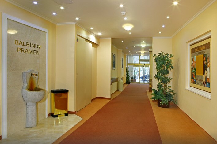 Hotel Ensana Spa Vltava fotografie 6