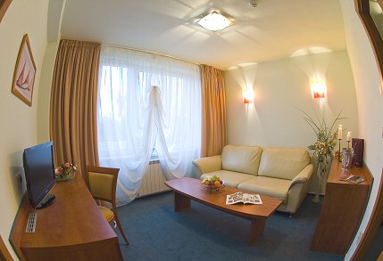 HOTEL JEHLA ŽĎÁR NAD SÁZAVOU jehla1.jpg