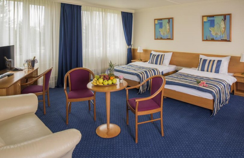 HOTEL TOPHOTEL PRAGUE tophotel1.jpg